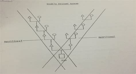 UPSC ANTHROPOLOGY Detailed Strategy by Kirthi Chekuri (Rank – 14 ...