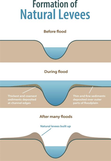 formation of natural levees infographic 24318092 Vector Art at Vecteezy