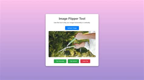 Image result for Color Flipper JavaScript