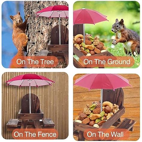 Yasorn Carbonized Wood Squirrel Feeder with Umbrella, India | Ubuy