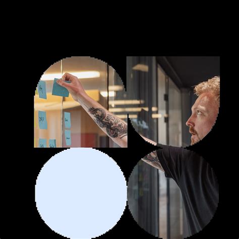 Bluebird Day x myBrand