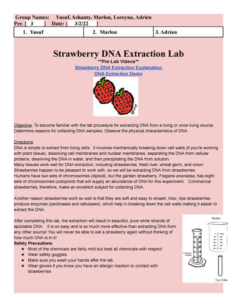 Strawberry Dna Extraction Lab Questions Answers at Leo Mclucas blog