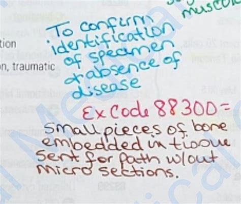 Image result for Learn Patholgy CPT Coding