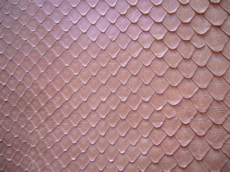 Image result for Pink Python Skin