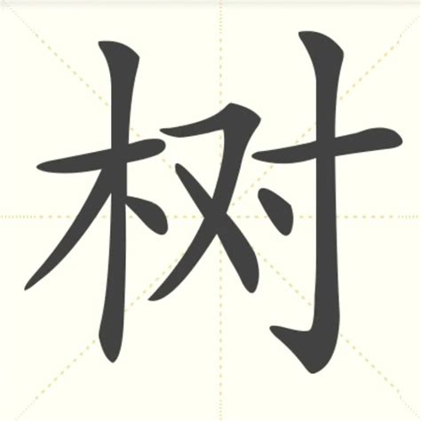 “树” 的汉字解析 - 豆豆龙中文网