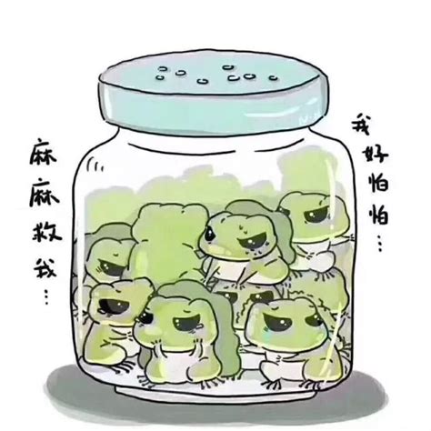 “佛系”蛙的朋友圈_综合新闻_中宏网
