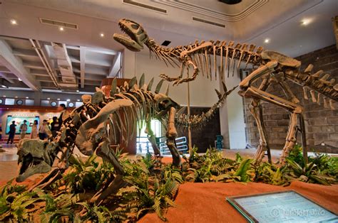 Asia's First Dinosaur Museum in Zigong, Sichuan, China