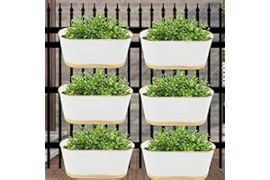 Amazon.in Bestsellers: The most popular items in Hanging Planters