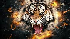 New 3d Hd Wallpaper by Pictures New 3d Images Free Pixelstalk Net New 3d Hd Wallpaper