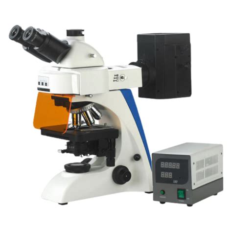 Fluorescence Microscope 的图像结果