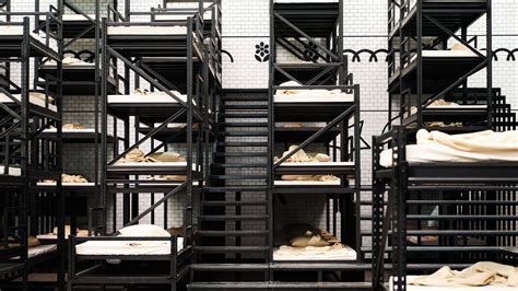 Squid Game bunk beds - Virtual Backgrounds