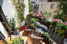 terrazzo in fiore fiori per terrazzi piante da terrazzo quali fiori per terrazzo in fiore fiori per terrazzi piante da terrazzo quali fiori per
