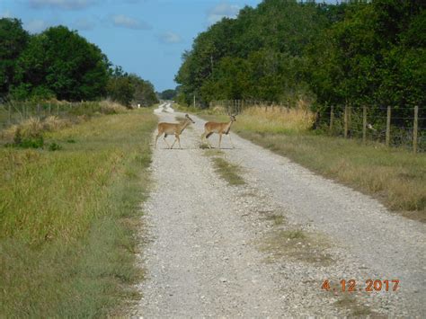 Gallery | Hardee County Property Appraiser