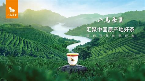 八马茶业携手中国国家地理，发现地道好茶之美 - 中国茶叶流通协会