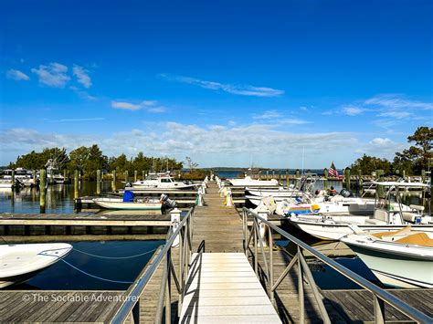 Carolina Beach State Park - The Sociable Adventurer