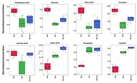 Metabolic Shift in Porcine Spermatozoa during Sperm Capacitation ...