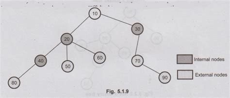 Trees - Basic Terminologies | Non-Linear Data Structures