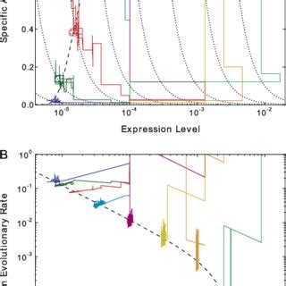 Computer Simulation Evidence of Evolution 的图像结果