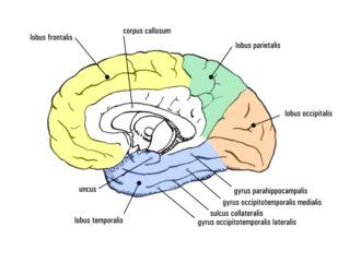 Image result for Cortex-R Vector Table
