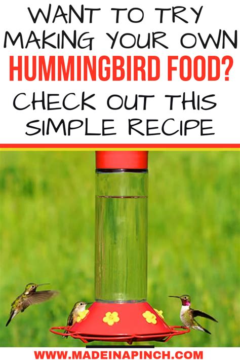diy hummingbird food