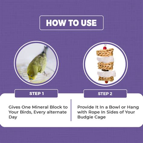Buy Petvit Calcium Mineral Block with Alfalfa Bird Food online at ...