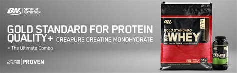 Optimum Nutrition (ON) Gold Standard 100% Whey Protein Powder- (Double ...