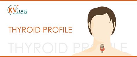 KV Labs | Thyroid Profile