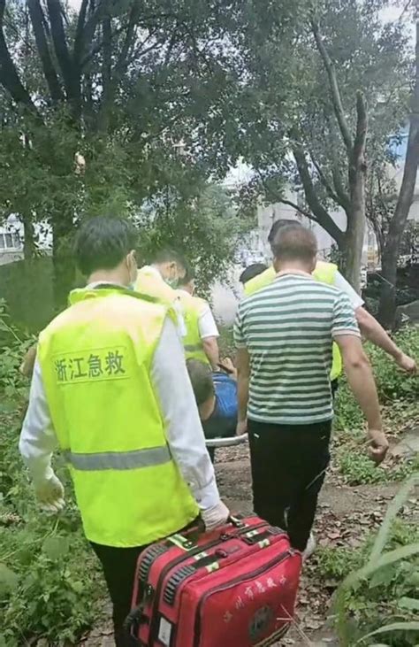 温州120一周接四起摘杨梅坠树警情，其中两人心跳呼吸停止 - 哔哩哔哩