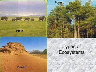 Ecosystem Type 的图像结果
