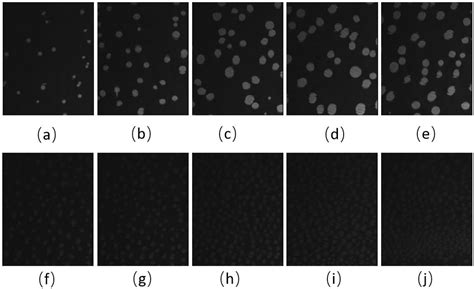 Impact of Pollutant Ozone on the Biophysical Properties of Tear Film ...