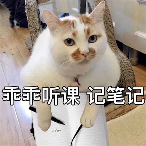 留学生落户需要什么条件？落户政策是什么？_热点导读_咨询内容_凡图人才咨询网