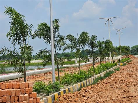 Resale 720 Sq.Ft. Plot in Rohania Varanasi - 9499867