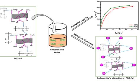 Polyvinyl Alcohol Polymer Functionalized Graphene Oxide Decorated with ...