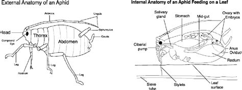 Image result for VBA Class Module PDF
