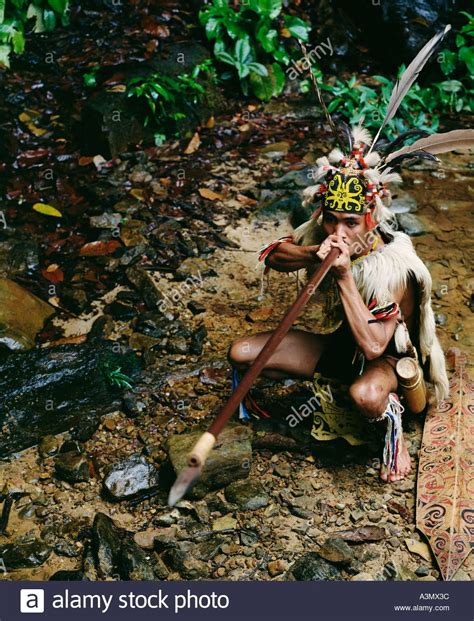 Penan Nomadic Hunters: Borneo’s Indigenous Blowpipe Experts & Forest Navigation