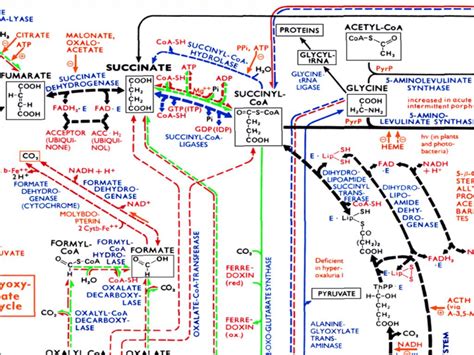Biochemistry 的图像结果