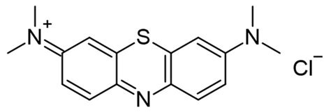 Use of Biodegradable, Chitosan-Based Nanoparticles in the Treatment of ...
