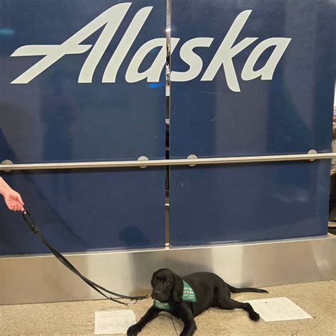Guide Dogs for the Blind - Whidbey Island, WA Puppy Raisers ...