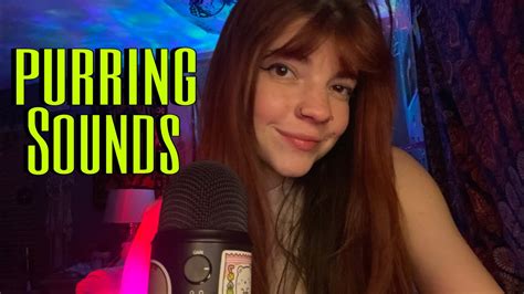 Image result for Purring Discord Server