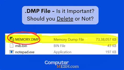 Image result for DMP File Analysis
