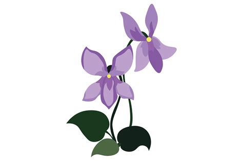 Rhode Island State Flower - Viola SVG Cut file by Creative Fabrica ...