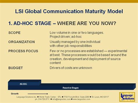 Image result for Localization Maturity Model