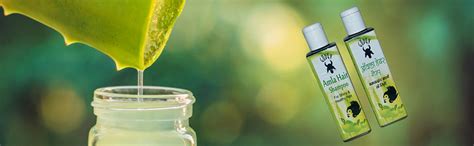 Godev Amla Hair Shampoo Enriched with Aloe Vera for Stronger, Darker ...