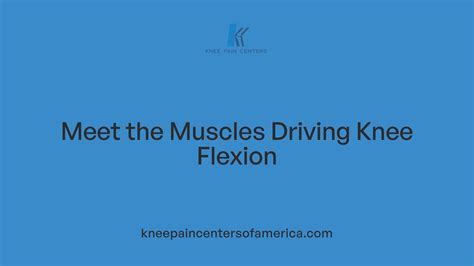 What Muscles Flex the Knee