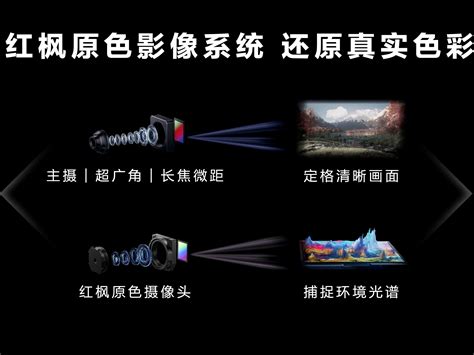 Alienware Camera 的图像结果