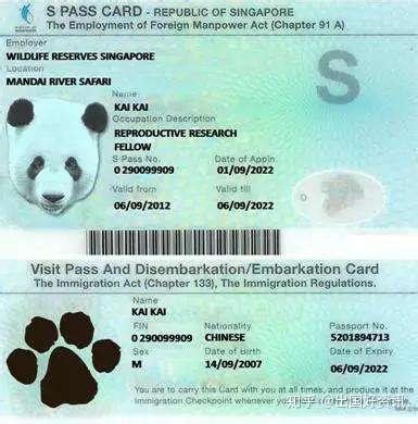 出国好资讯关于新加坡sp签证的小知识 - 知乎