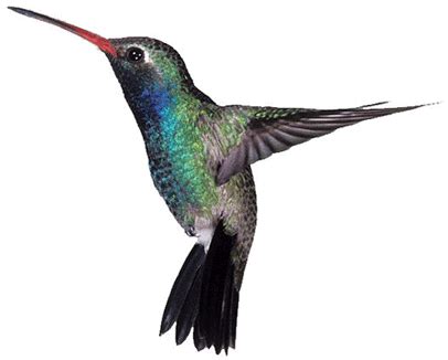 HQSuggest White Label Business In A Box Special