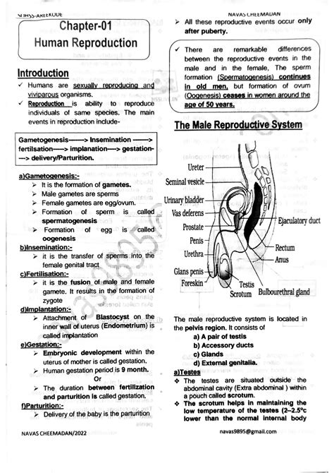Image result for Isinamuva Human Reproduction Notes