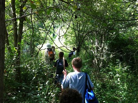 Primitive Videos 的图像结果