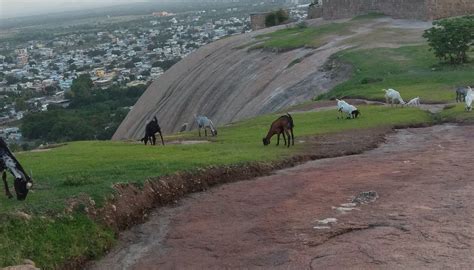 BHONGIR FORT (2026) All You Need to Know BEFORE You Go (with Photos ...